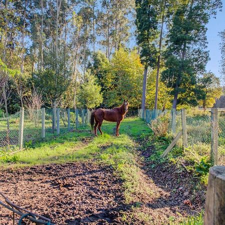 Casa Do Moinho Rural Campo E Praia , 9 Pessoas, Animais Benvindos Espinho  Ngoại thất bức ảnh