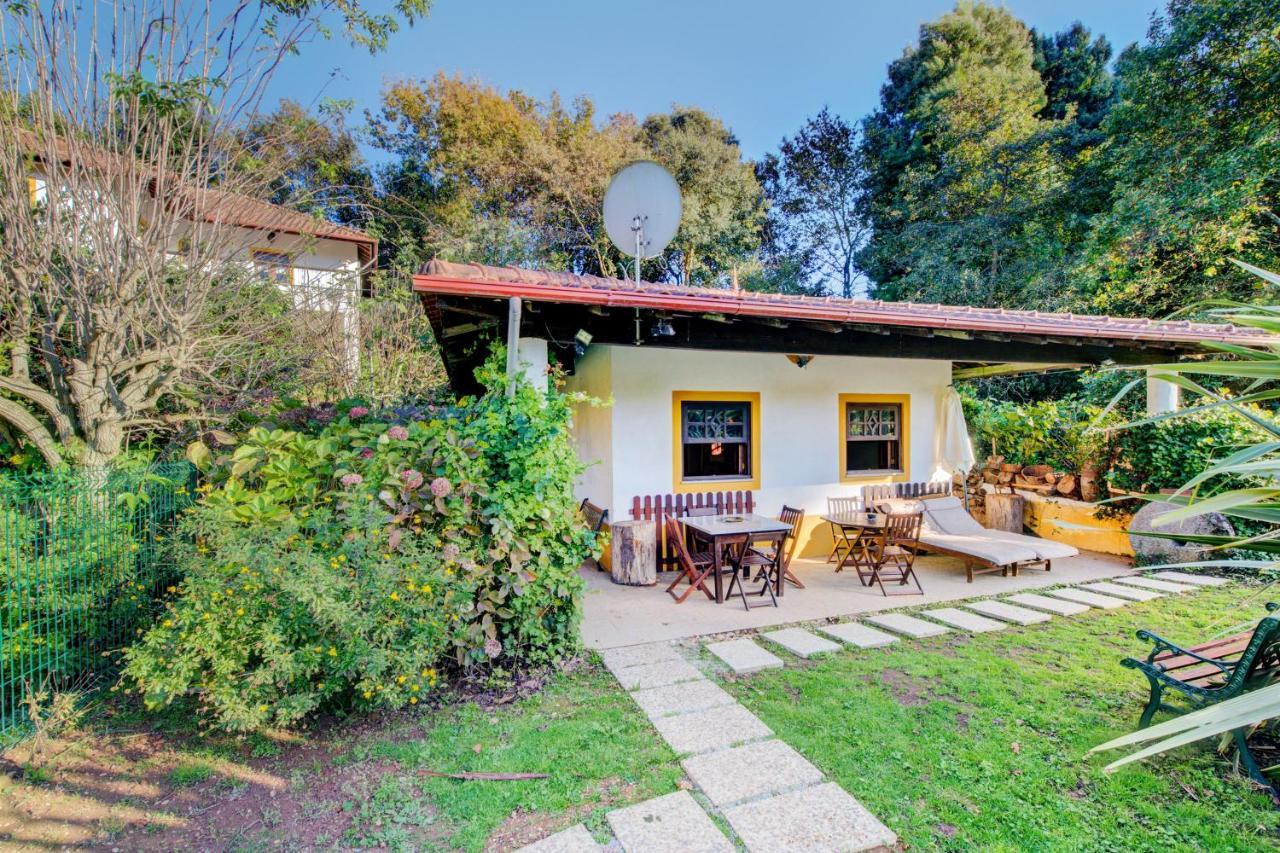Casa Do Moinho Rural Campo E Praia , 9 Pessoas, Animais Benvindos Espinho  Ngoại thất bức ảnh