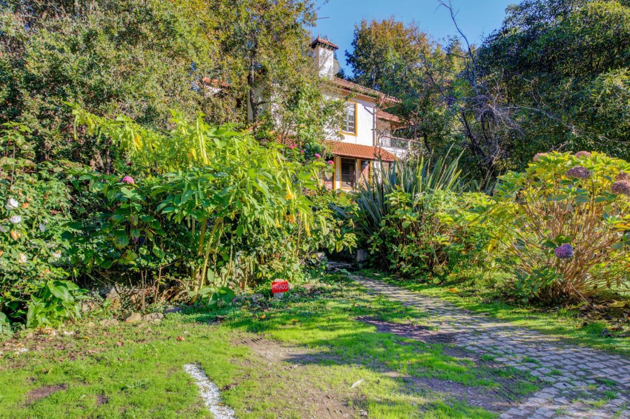 Casa Do Moinho Rural Campo E Praia , 9 Pessoas, Animais Benvindos Espinho  Ngoại thất bức ảnh