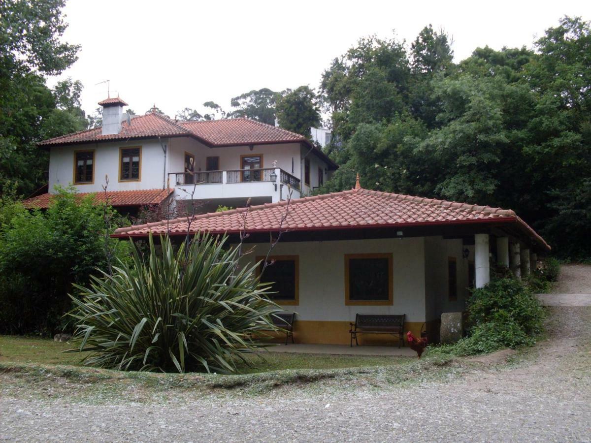 Casa Do Moinho Rural Campo E Praia , 9 Pessoas, Animais Benvindos Espinho  Ngoại thất bức ảnh