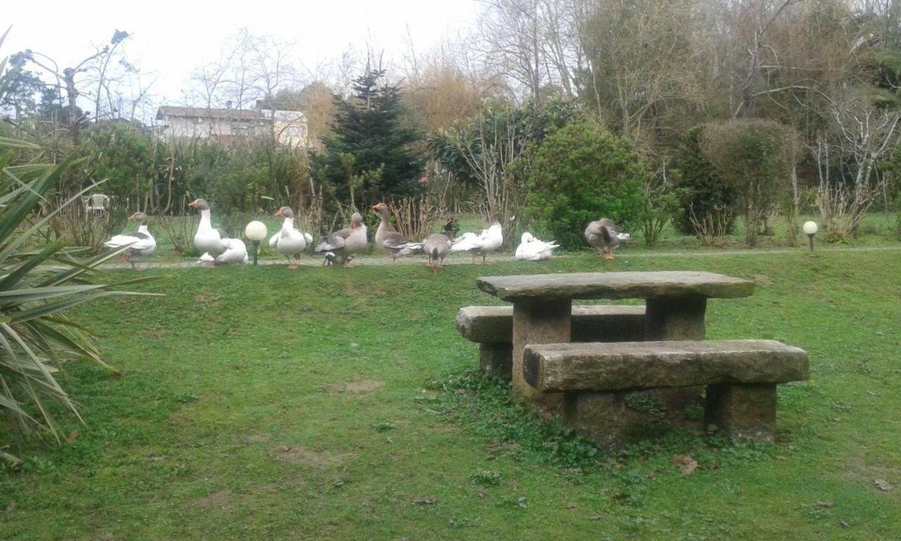 Casa Do Moinho Rural Campo E Praia , 9 Pessoas, Animais Benvindos Espinho  Ngoại thất bức ảnh